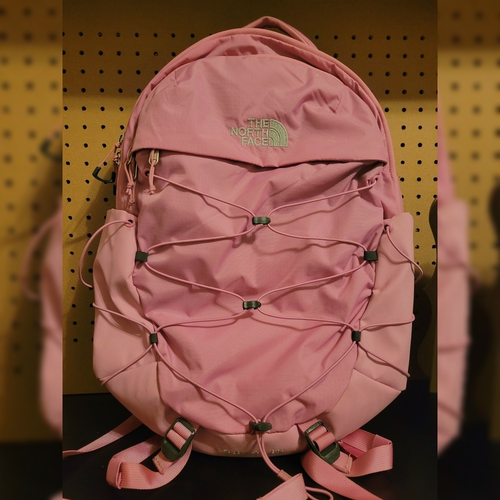 The North Face Borealis backpack